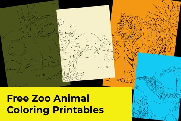 Zoo Animals – Free Coloring Printables for Kids